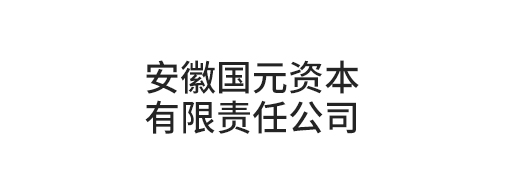 安徽國(guó)元資本有限責(zé)任公司
