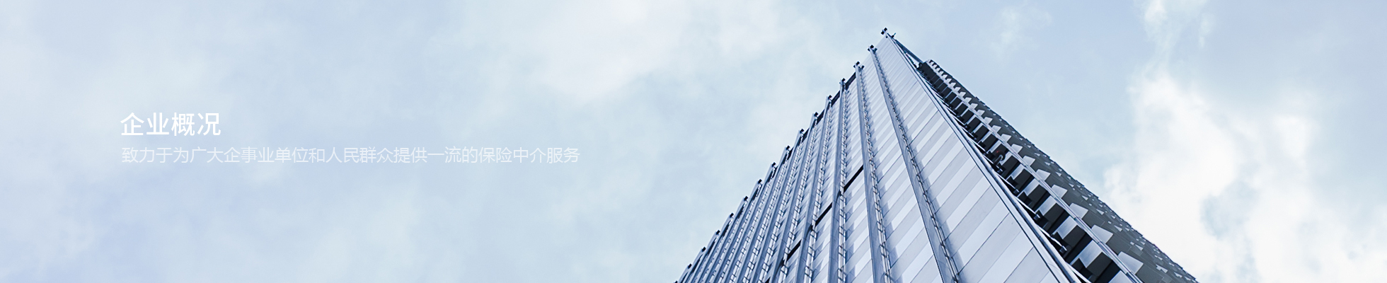 企業(yè)概況